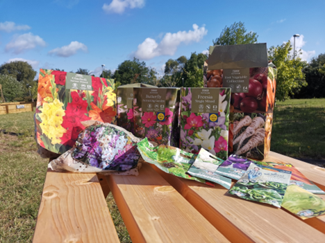 Packets of seeds and bulbs on a picnic table outside