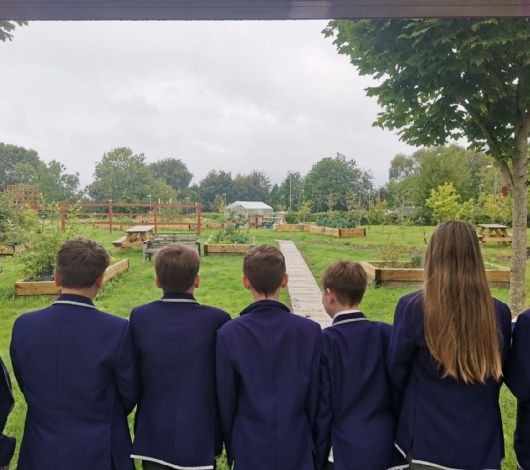 A group of students in uniform stand with their back to the camera, looking out on an allotment.